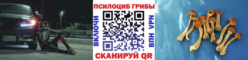 Галлюциногенные грибы Psilocybine cubensis  Павлово 