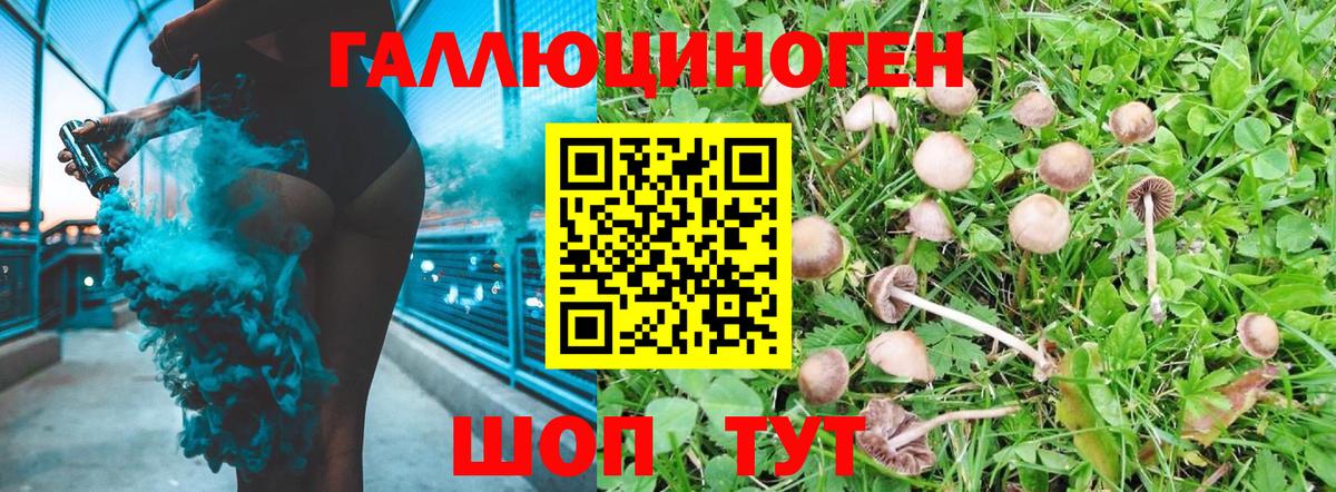 Павлово  Галлюциногенные грибы MAGIC MUSHROOMS  Галлюциногенные грибы мицелий  Вход с VPN 