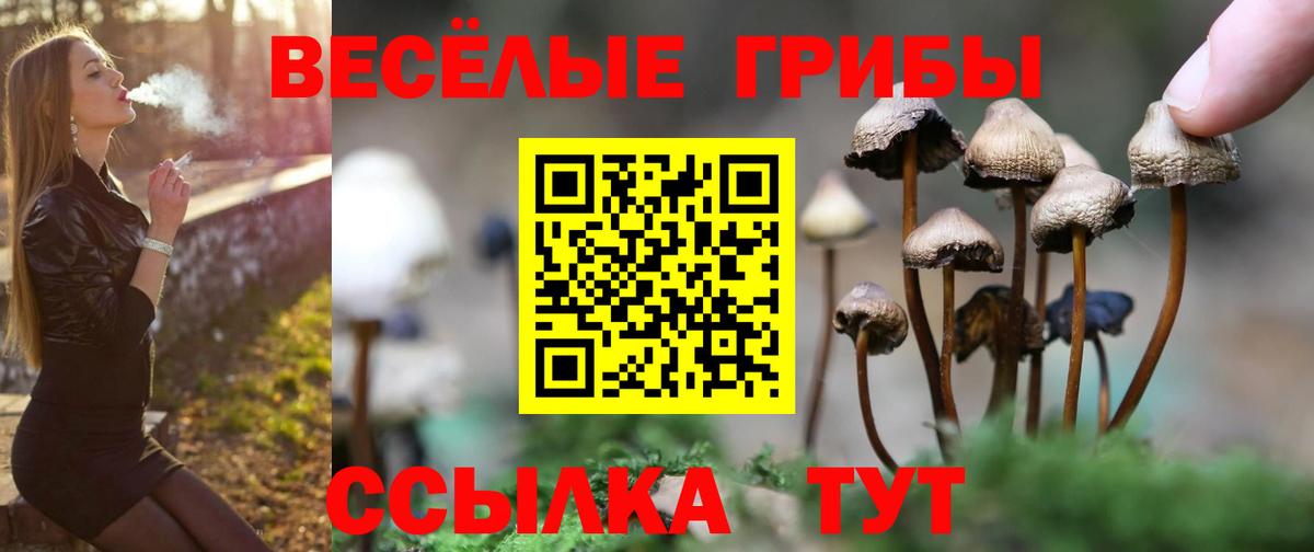 Галлюциногенные грибы мицелий Павлово